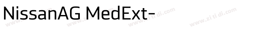 NissanAG MedExt字体转换